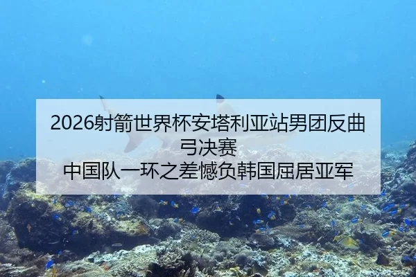 2026射箭世界杯安塔利亚站男团反曲弓决赛 中国队一环之差憾负韩国屈居亚军